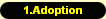 1.Adoption